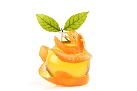 Production Of Pectin From Citrus Peel Extraction Methods