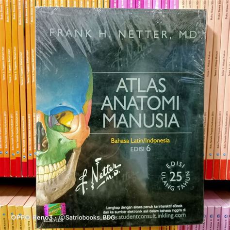 Jual BUKU ATLAS ANATOMI MANUSIA Frank H Netter Edisi 6 ELSEVIER