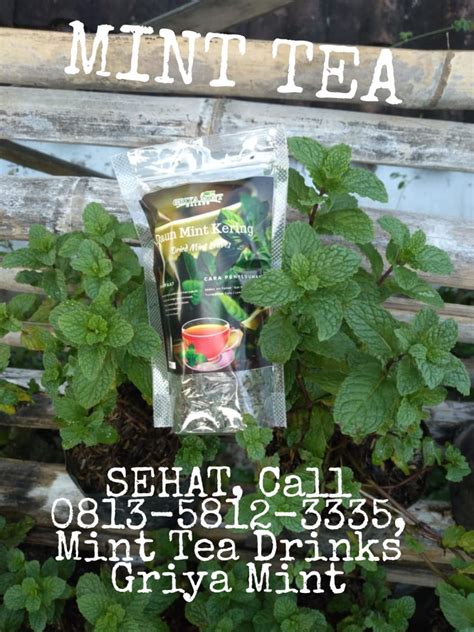 PROMO HEBOH, Call 0813–5812–3335, Mint Tea Drinks Griya Mint - Mintteacompanymalang - Medium