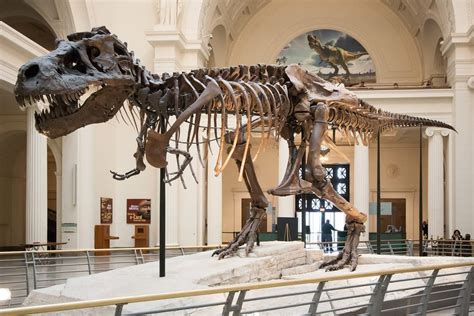 Meet Dinosaurs At New Jurassic World Exhibit At The Field Museum Urbanmatter