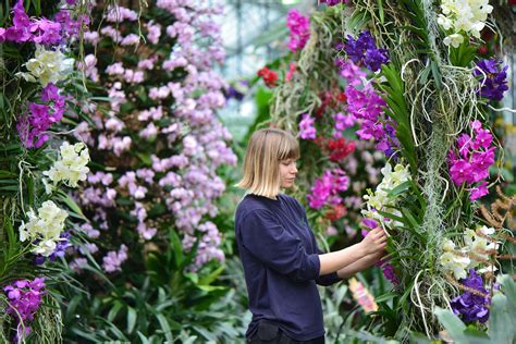 Kew Gardens Orchid Festival Tilly Ginnifer