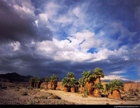 Can It Be Saturday Now .com ? - Desert sky