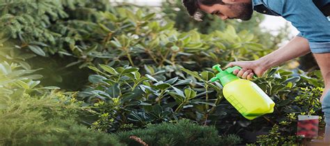 Top 5 Garden Sprayers - Gardening Guidance