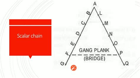 Principle Of Scalar Chain Youtube