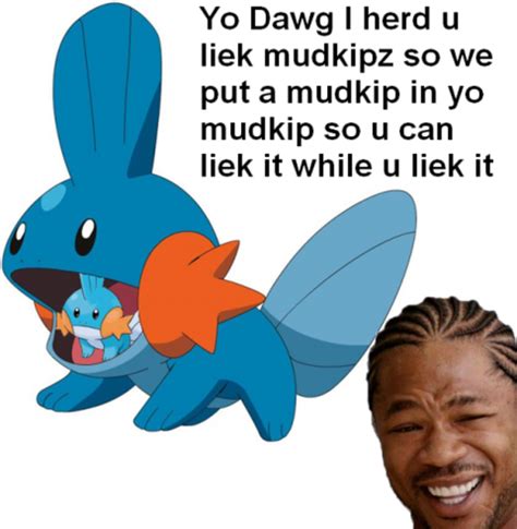 Yo Dawg Mudkip I Herd U Liek Mudkips Know Your Meme