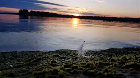 Sound Der Stille Am See Rivertime