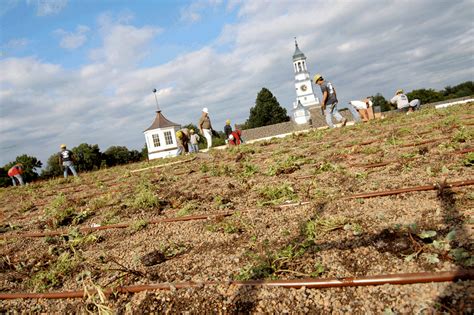 William Penn Charter School - Greenroofs.com