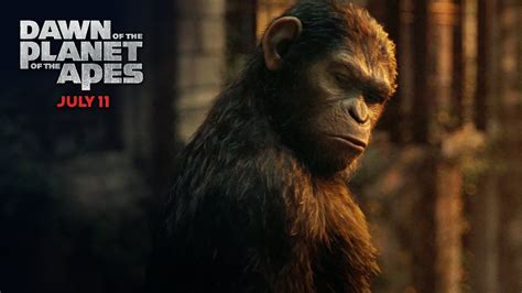 Planet Of The Apes Caesar Wallpaper