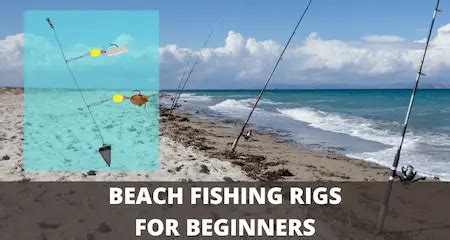 5 Best Beach Fishing Rigs For Beginners (Setup Guide)