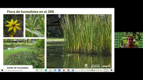 Tertulia Ecología y flora de los humedales del Jardín Botánico de