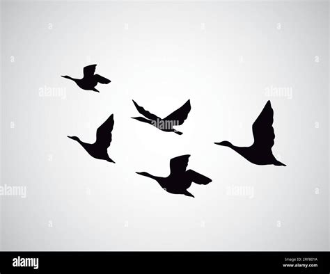 Vector silhouette flying birds, ducks on white background. Tattoo Stock Vector Image & Art - Alamy