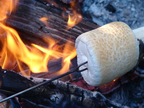 Peggy L Henderson Campfire Cooking The Perfect Marshmallow