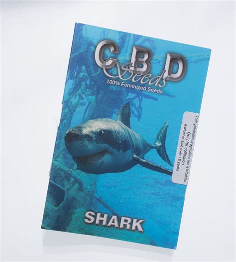 Shark CBD Seeds