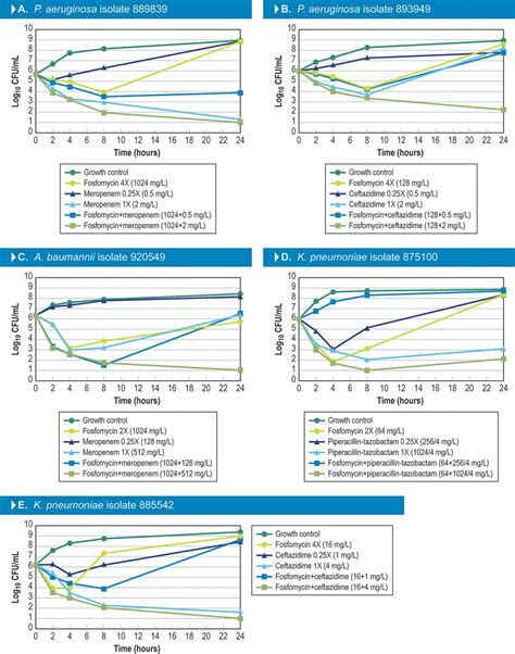 Evaluation Of The Bactericidal Activity Of Fosfomycin In Combination