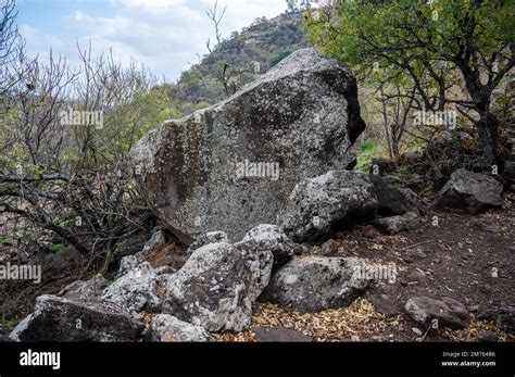 The Yehudiya Forest Reserve is a nature reserve in the central Golan ...