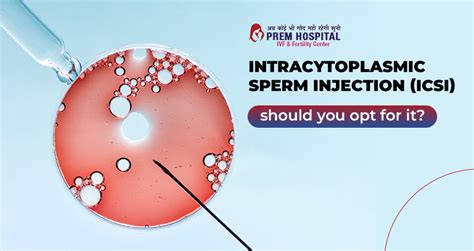 Intracytoplasmic Sperm Injection Icsi Should You Opt For It