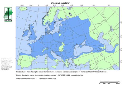 Fraxinus Excelsior Euforgen European Forest Genetic Resources Programme