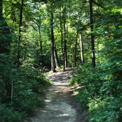 Madeline Bertrand County Park | Course Photos