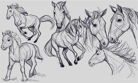 Horse Sketches : r/drawing