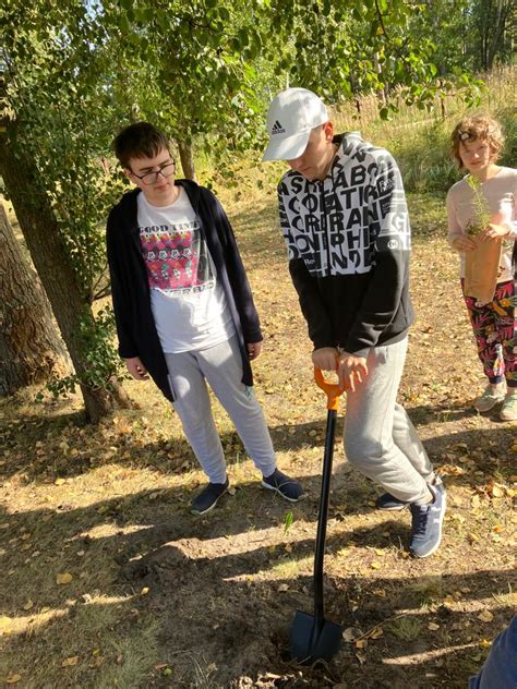 Akcja Sadzimy W Naszej Szkole Soswskierniewice Pl