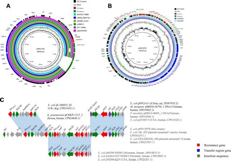 Emergence Of Almost Identical F A B Plasmids Carrying Bla Ndm