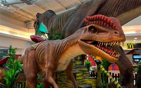 Exposi O De Dinossauros Em Vila Velha Come A Em Abril Es Brasil