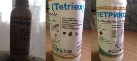 От клопов безопасное средство – Средства от клопов безопасные для людей ...