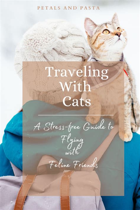 Traveling With Cats In 2020 Cat Travel Traveling By Yourself Cats