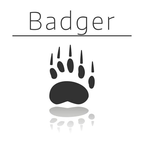 Badger animal track 14154204 Vector Art at Vecteezy