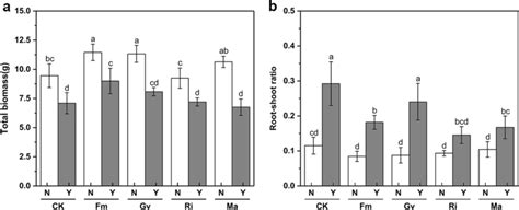 Total Biomass A And Root Shoot Ratio B Of Cherry Tomatoes