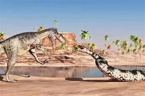 Researchers find fossils of what could be the largest snake of all time