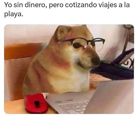 Yo Sin Dinero Pero Cotizando Viajes A La Playa Memes