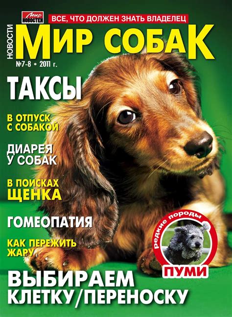 Журнал про собак (70 фото) - картинки sobakovod.club
