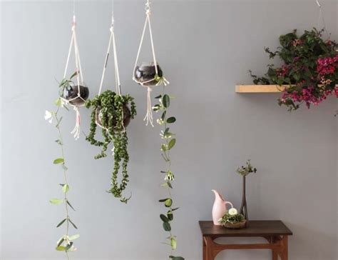 DIY Macrame Plant Holders: A Chic Way to Hang Indoor Plants