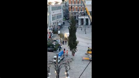 L albero di Natale a De Ferrari è arrivato da Ponte di Legno Il