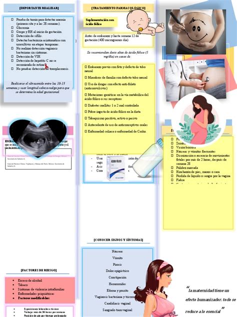 Triptico Control Prenatal Pdf El Embarazo Medicina