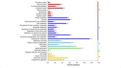 Functional Classification And Pathway Assignment Of Assembled