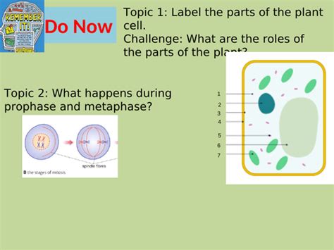 Edexcel Cb4 Sb4 Selective Breeding Complete Lesson Gcse Biology Combined Science Teaching