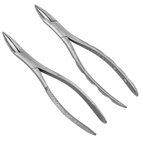 ProDent USA 301 300 Extraction Forceps Serrated Long Narrow Net32