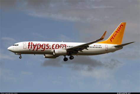 Pegasus Airlines Boeing Ng Max Tc Adp Photo Airfleets