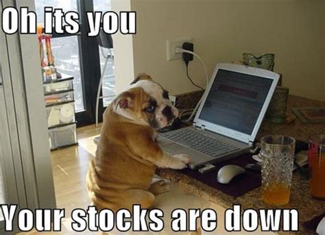 Funny Pictures And Memes From The Stock Market