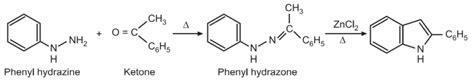 Synthesis And Reactions Of Indole Solution Parmacy