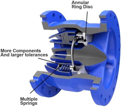 Which Nozzle Check Valve Design Should I Specify