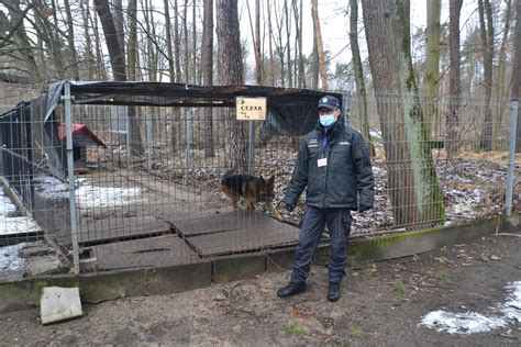 Pomagamy Schronisku dla Bezdomnych Zwierząt Służba Więzienna