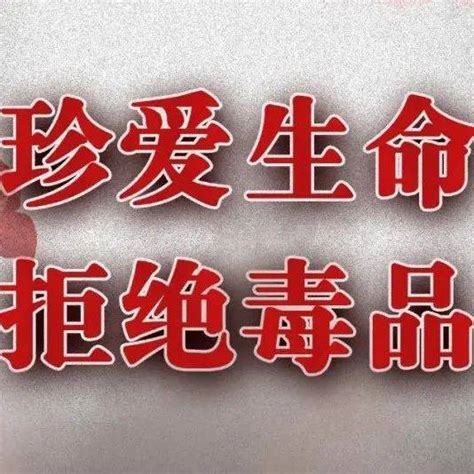 最高100万！岑溪市提高举报毒品违法犯罪奖励禁毒给予办法