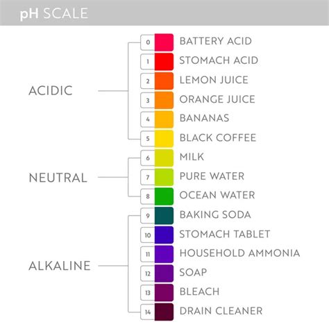 PH Value scale chart. Stock Vector by ©Kandella 498070464