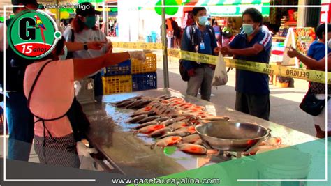 Produce Anuncia Lanzamiento De Programa A Comer Pescado Gaceta