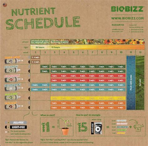 Biobizz Feeding Chart Pro Results And How To Get Them