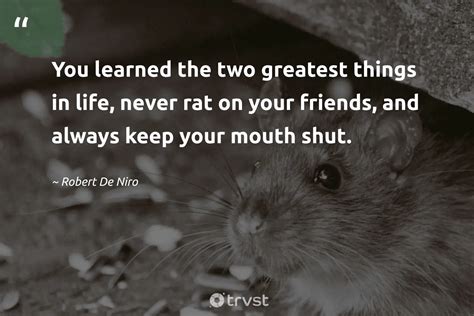 23 Rat Quotes About The Misunderstood Rodents