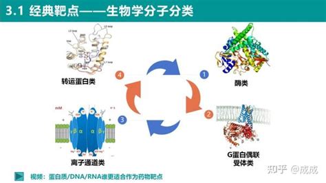 药物靶点专题从药物靶点发现到药物研发中的经典靶点 知乎